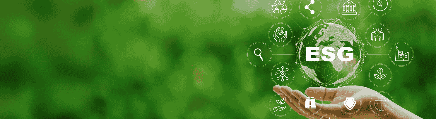 Report di Sostenibilità 2024