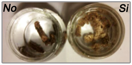 Test pellet acqua