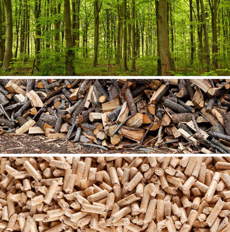 tipo pellet tipo pellet